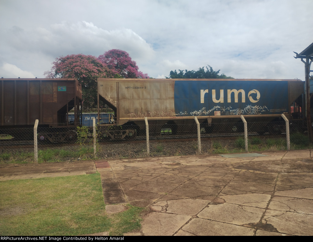 RUMO HPT-033844-3